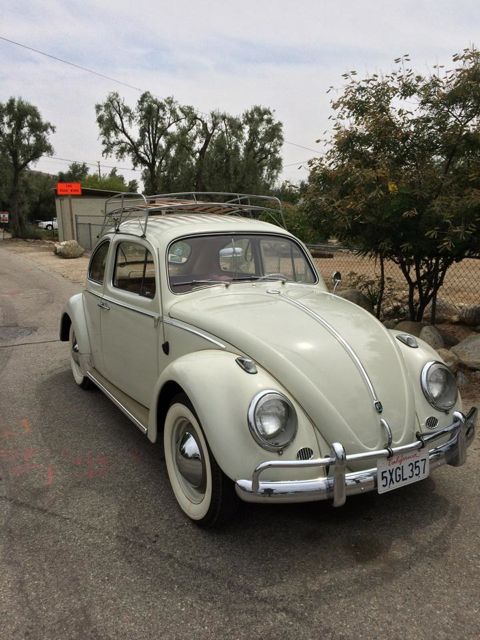 1962 All Original VW Beetle For Sale @ Oldbug.com